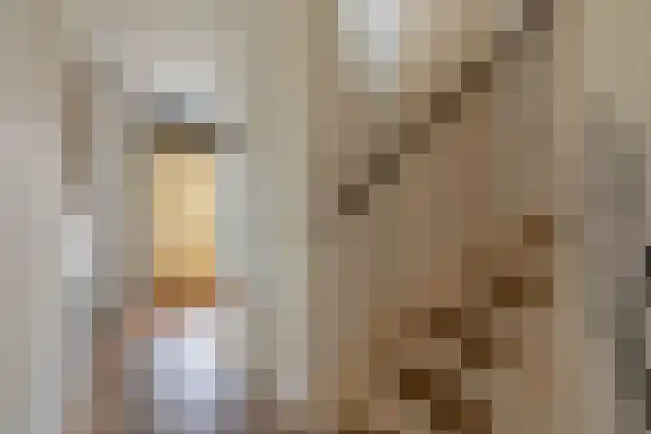 Schoener 1 Nijkerk thumbnail 11