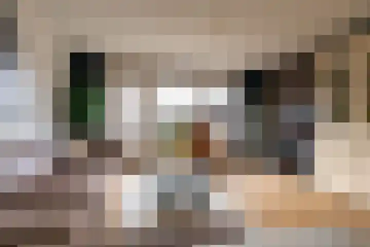 Schoener 1 Nijkerk thumbnail 12