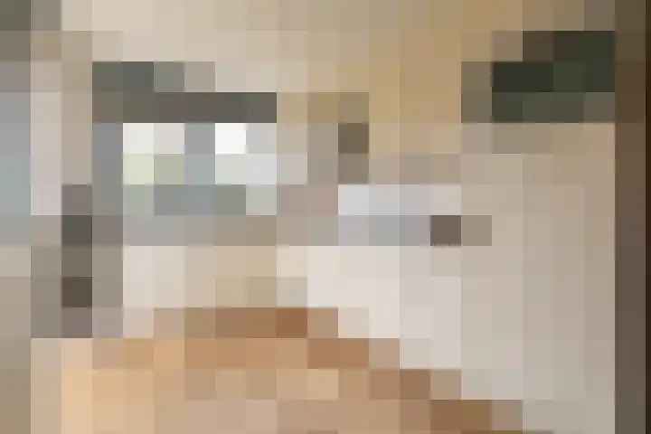 Schoener 1 Nijkerk thumbnail 18
