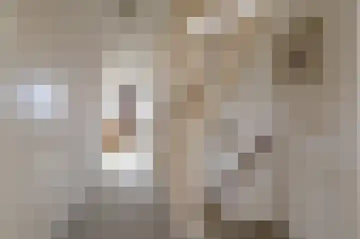 Schoener 1 Nijkerk thumbnail 21