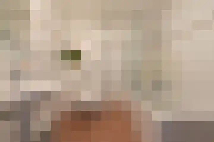 Schoener 1 Nijkerk thumbnail 28