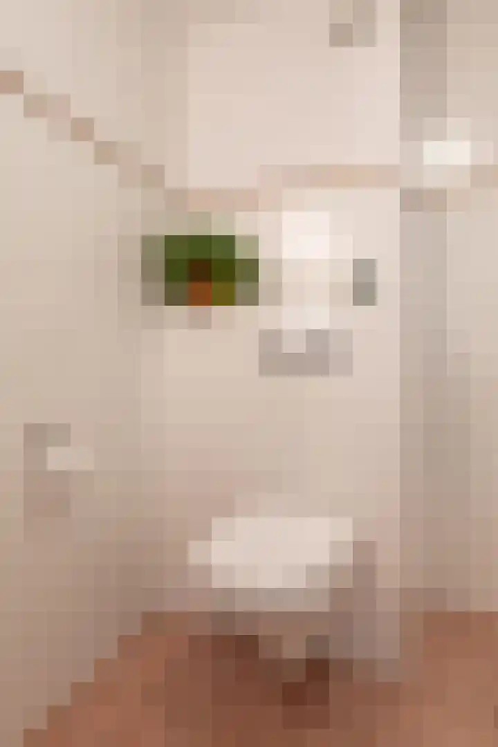 Schoener 1 Nijkerk thumbnail 30