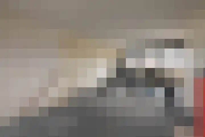 Schoener 1 Nijkerk thumbnail 31