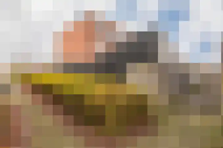 Schoener 1 Nijkerk thumbnail 41