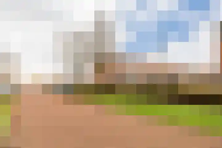 Schoener 1 Nijkerk thumbnail 42