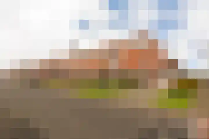 Schoener 1 Nijkerk thumbnail 43