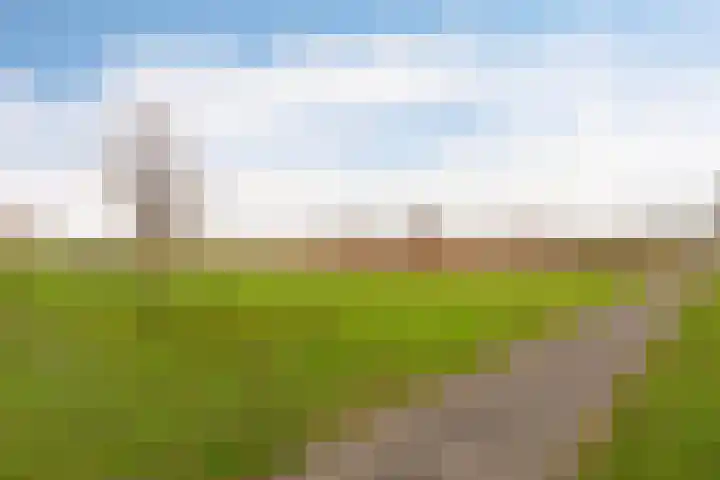 Schoener 1 Nijkerk thumbnail 44