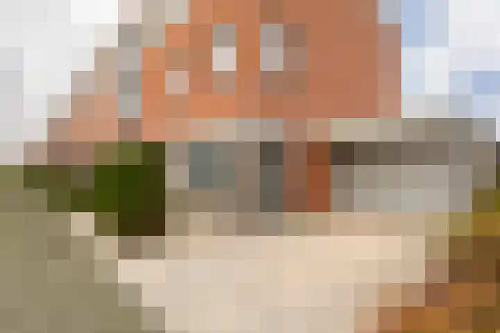 Schoener 1 Nijkerk thumbnail 6