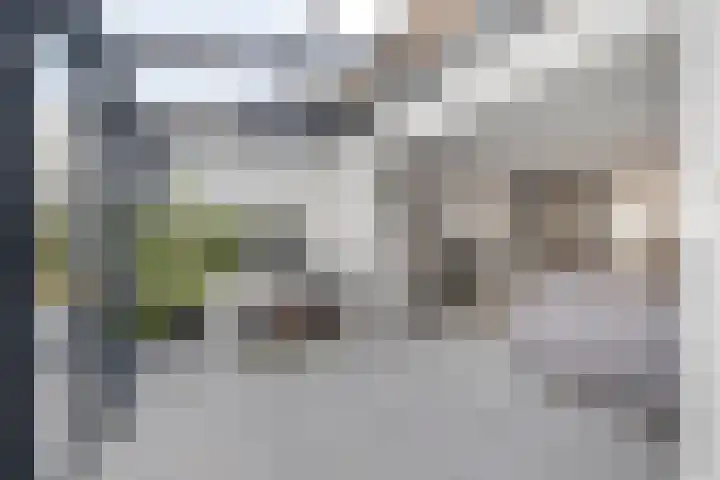 Schoener 1 Oosterhout thumbnail 10
