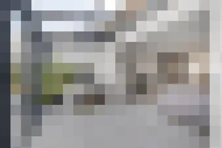 Schoener 1 Oosterhout thumbnail 11