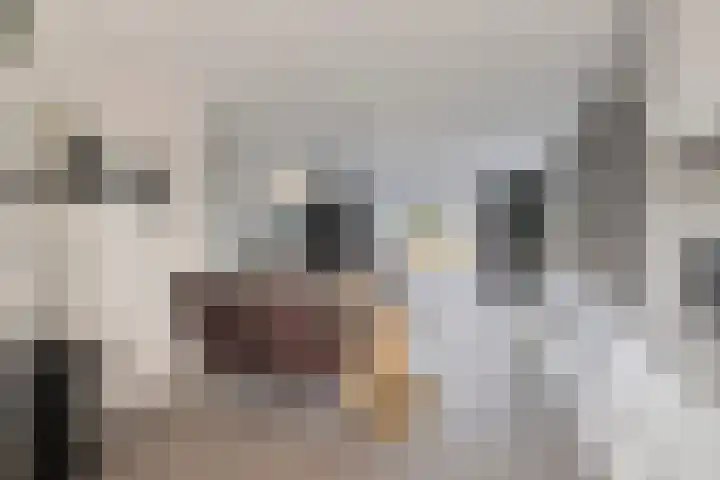 Schoener 1 Oosterhout thumbnail 14