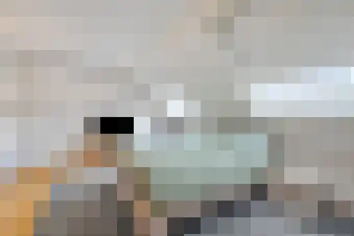Schoener 1 Oosterhout thumbnail 19