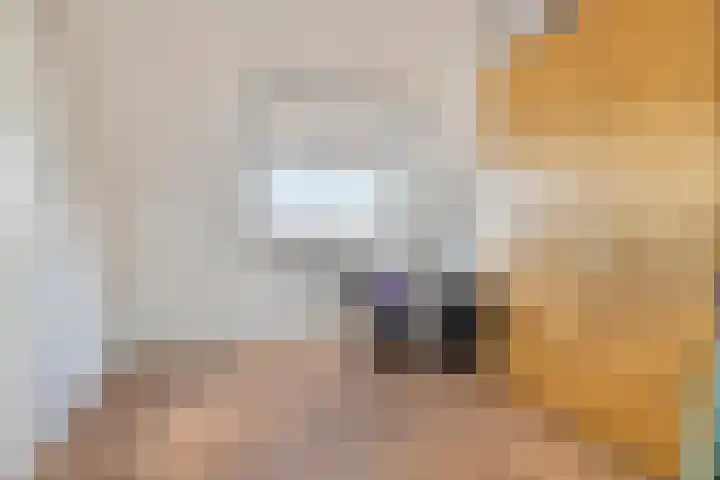 Schoener 1 Oosterhout thumbnail 25
