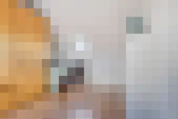 Schoener 1 Oosterhout thumbnail 26