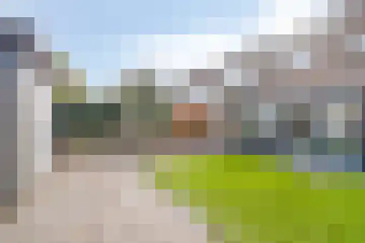 Schoener 1 Oosterhout thumbnail 28
