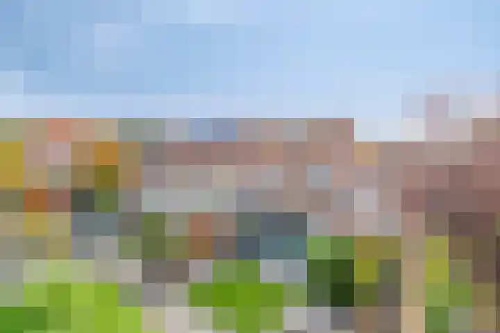 Schoener 1 Oosterhout thumbnail 31