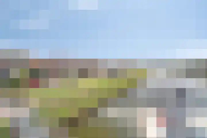 Schoener 1 Oosterhout thumbnail 32