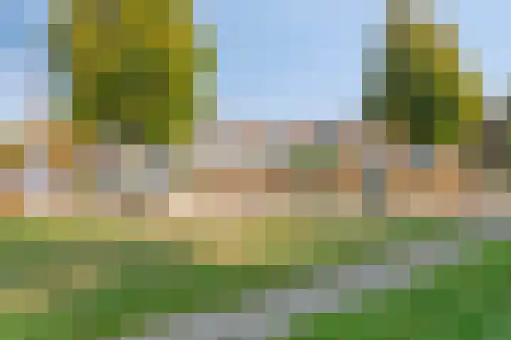 Schoener 1 Oosterhout thumbnail 34