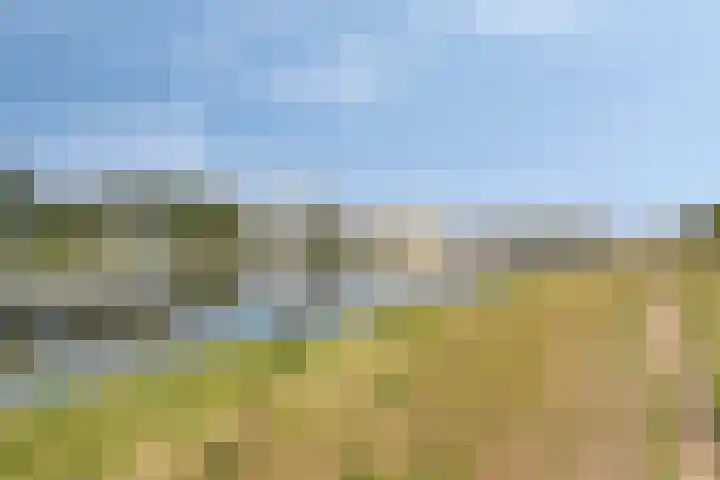 Schoener 1 Oosterhout thumbnail 36