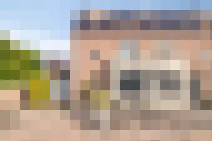 Schoener 1 Oosterhout thumbnail 40