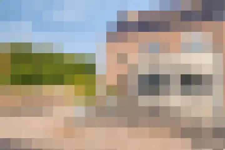 Schoener 1 Oosterhout thumbnail 41