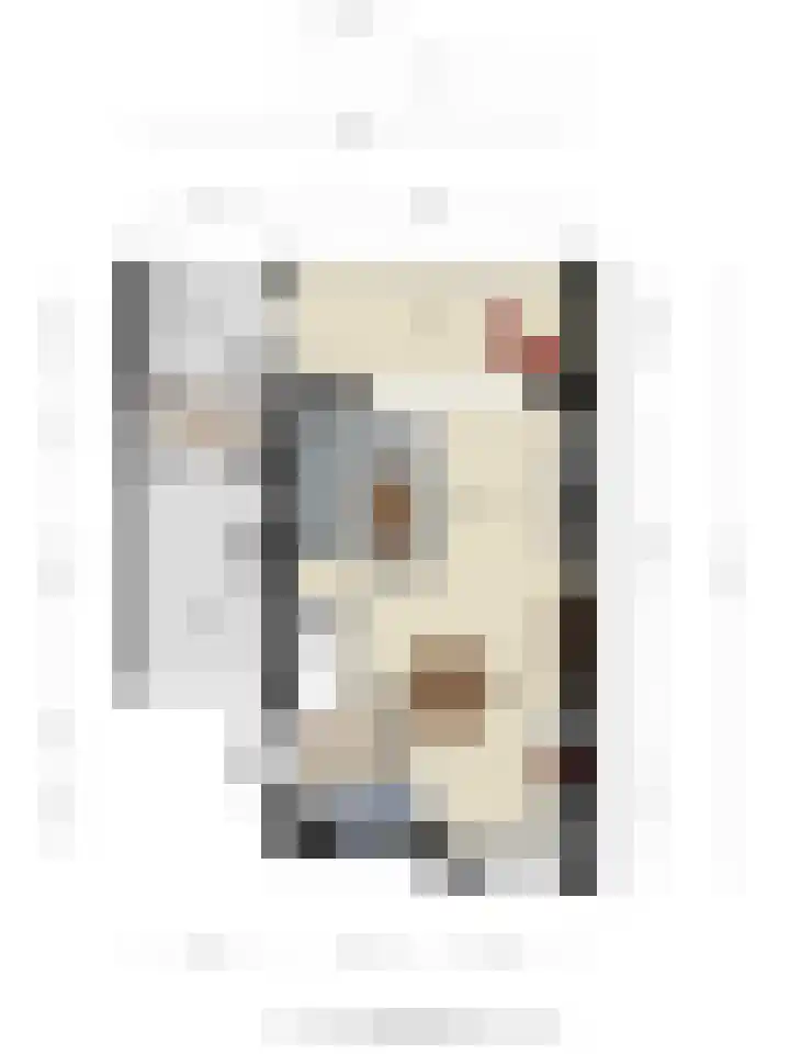 Schoener 1 Oosterhout thumbnail 43
