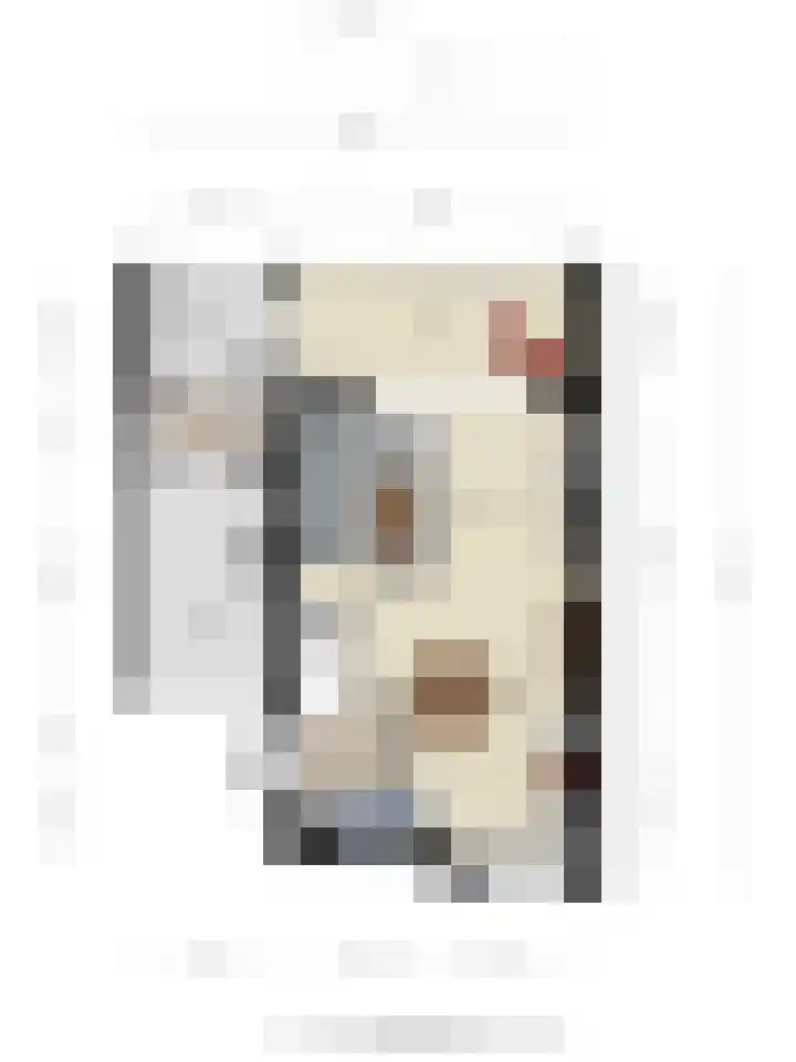 Schoener 1 Oosterhout thumbnail 48