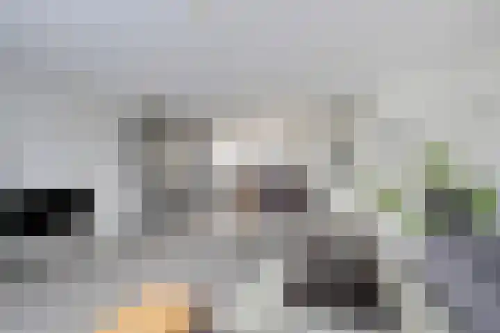 Schoener 1 Oosterhout thumbnail 6