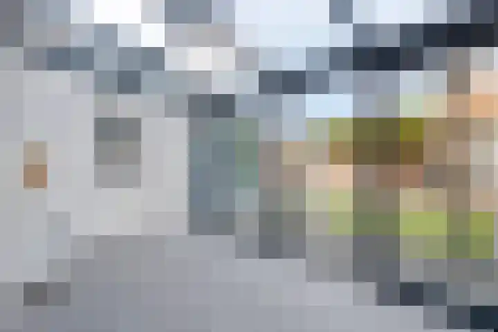 Schoener 1 Oosterhout thumbnail 9