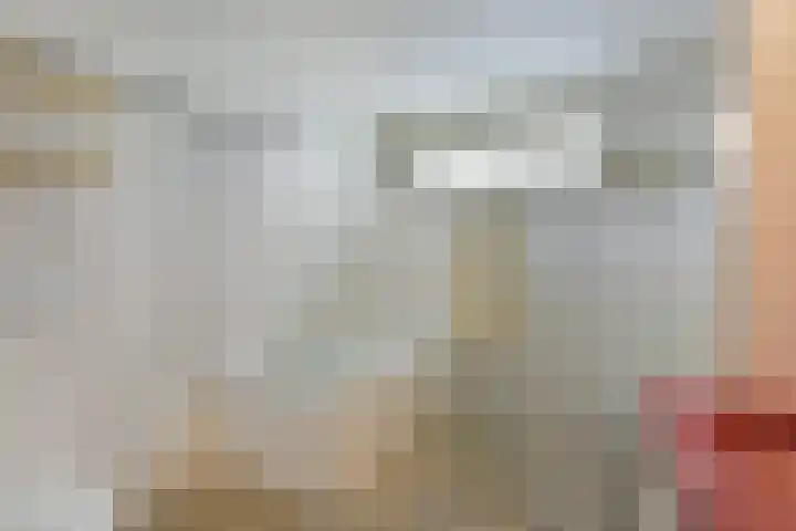 Schoener 10 Hoorn thumbnail 19