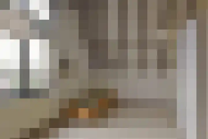 Schoener 10 Hoorn thumbnail 22