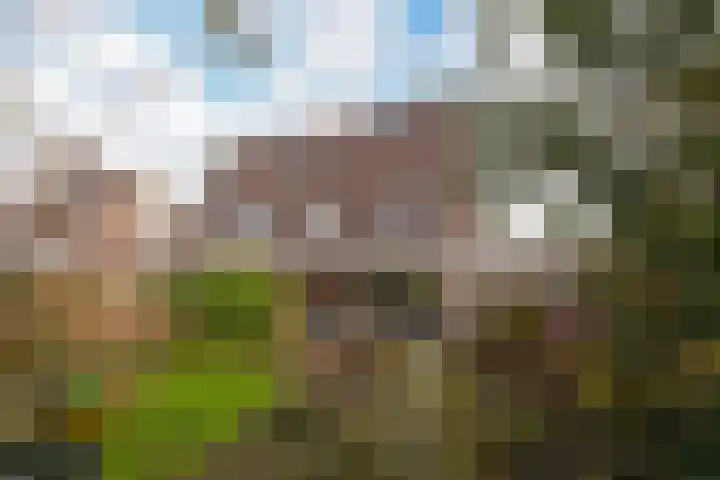 Schoener 10 Hoorn thumbnail 23