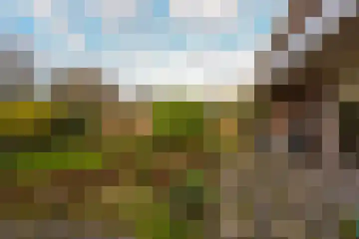 Schoener 10 Hoorn thumbnail 24