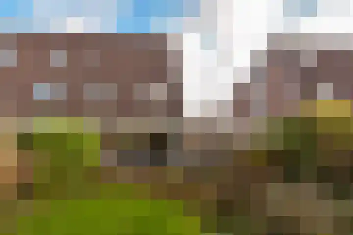 Schoener 10 Hoorn thumbnail 25