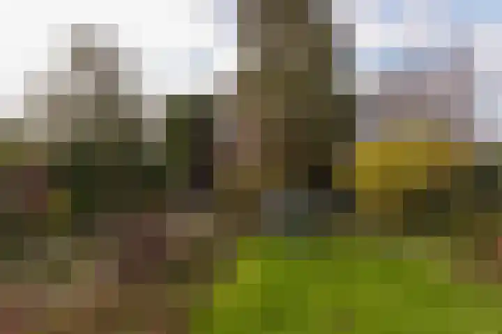Schoener 10 Hoorn thumbnail 27