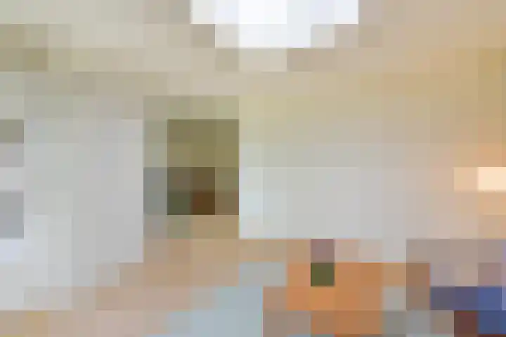 Schoener 10 Hoorn thumbnail 4