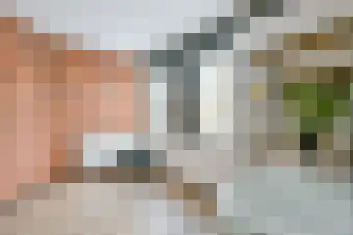 Schoener 10 Wieringerwerf thumbnail 19