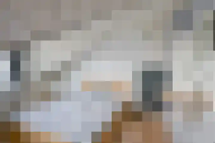 Schoener 10 Wieringerwerf thumbnail 24