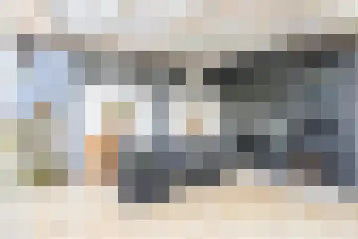 Schoener 10 Wieringerwerf thumbnail 27
