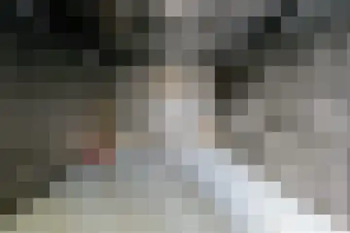 Schoener 10 Wieringerwerf thumbnail 29