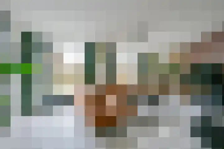 Schoener 10 Wieringerwerf thumbnail 5