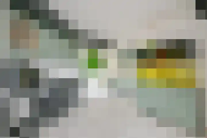 Schoener 10 Wieringerwerf thumbnail 7