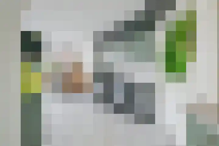 Schoener 10 Wieringerwerf thumbnail 8