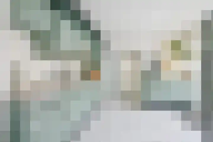 Schoener 10 Wieringerwerf thumbnail 9