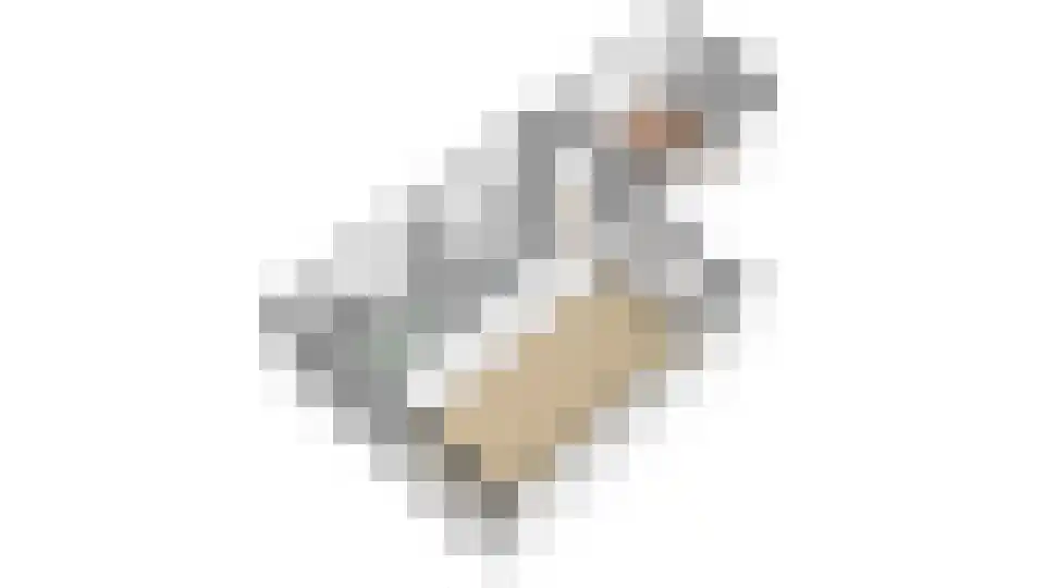 Schoener 12 10 Lelystad thumbnail 22