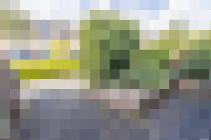 Schoener 128 Amstelveen thumbnail 23