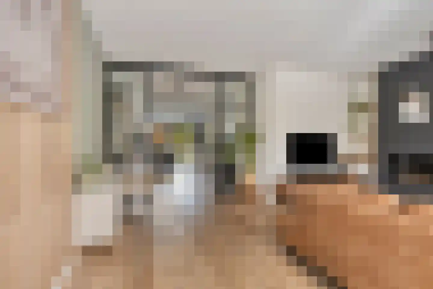 Schoener 14 Meppel thumbnail 16
