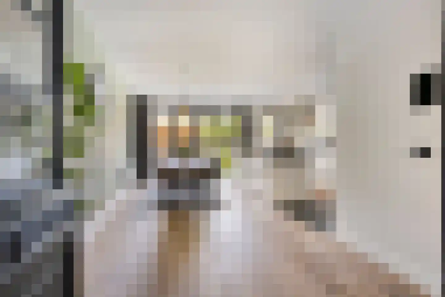 Schoener 14 Meppel thumbnail 17