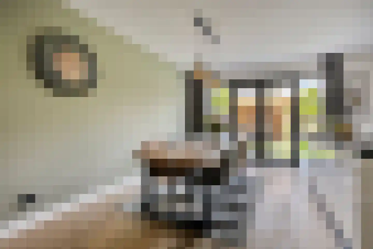 Schoener 14 Meppel thumbnail 18