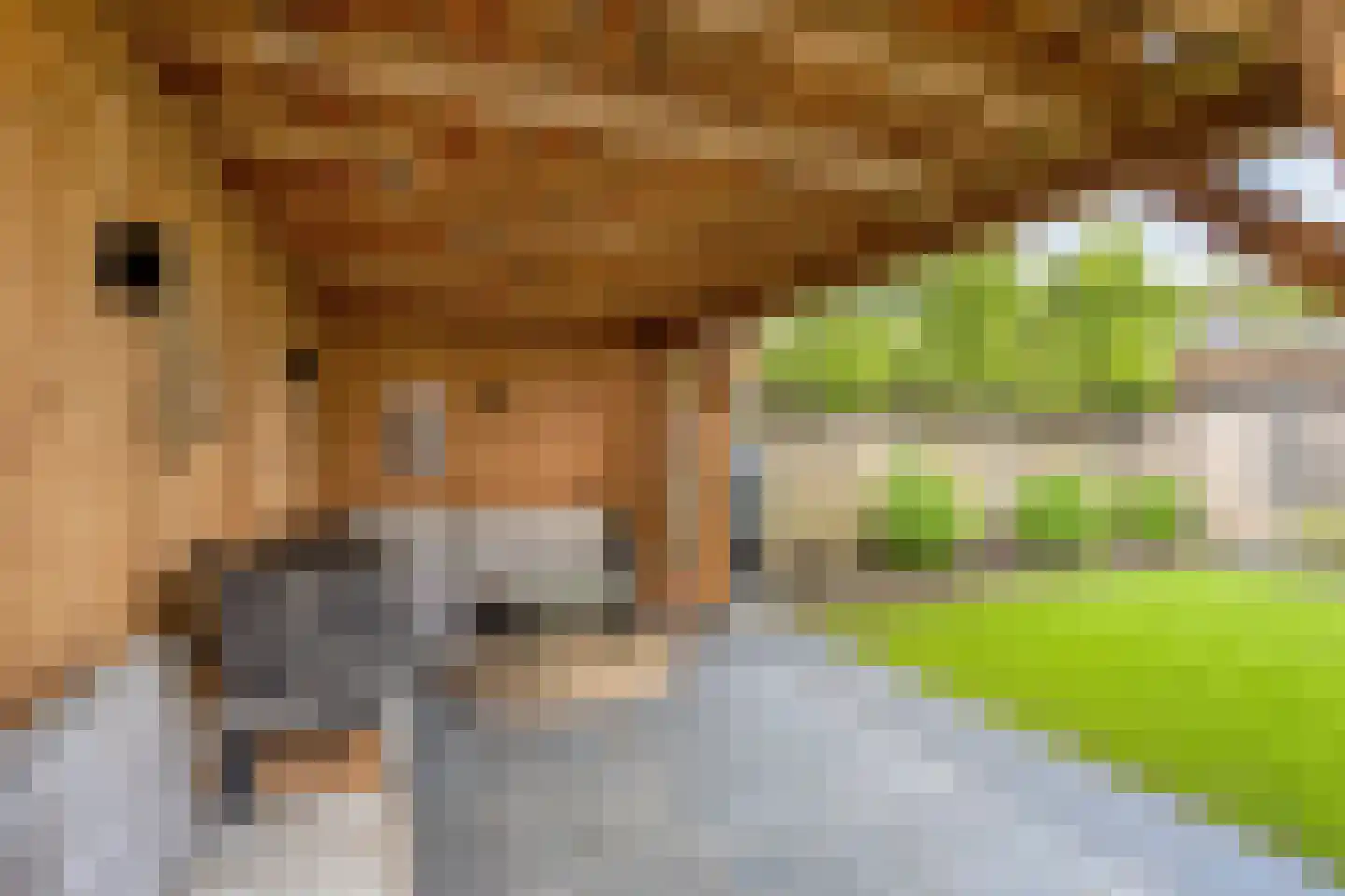 Schoener 14 Meppel thumbnail 41